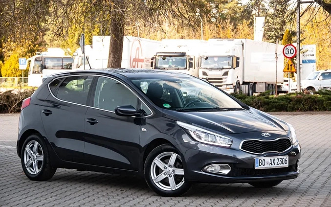 Kia Ceed cena 29900 przebieg: 228500, rok produkcji 2013 z Żerków małe 742